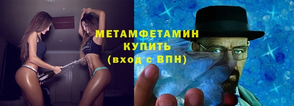 индика Медвежьегорск