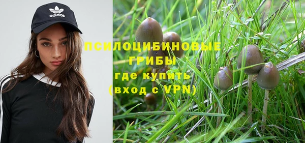 прущая мука Алексеевка