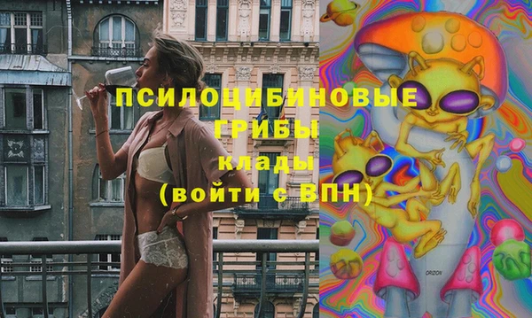 прущая мука Алзамай