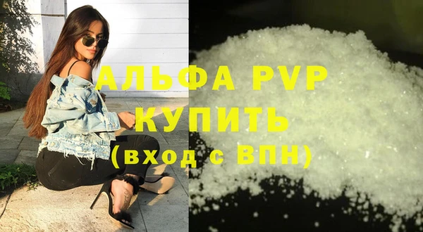 индика Медвежьегорск