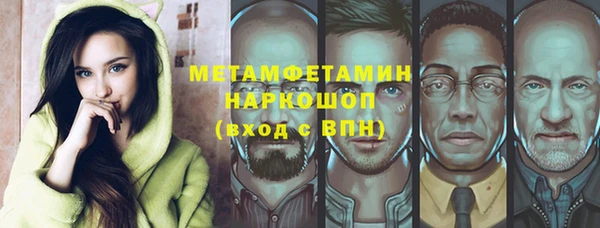 индика Медвежьегорск