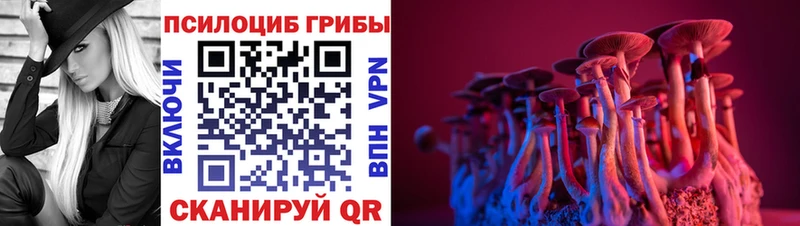 Галлюциногенные грибы Magic Shrooms  как найти закладки  Юрьев-Польский 